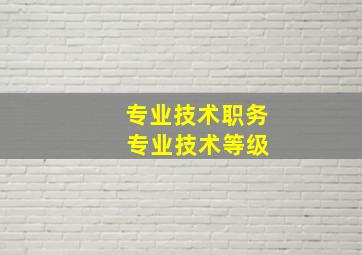 专业技术职务 专业技术等级